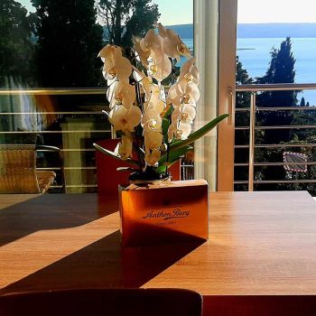 LJUBO DOMA, KDOR GA IMA