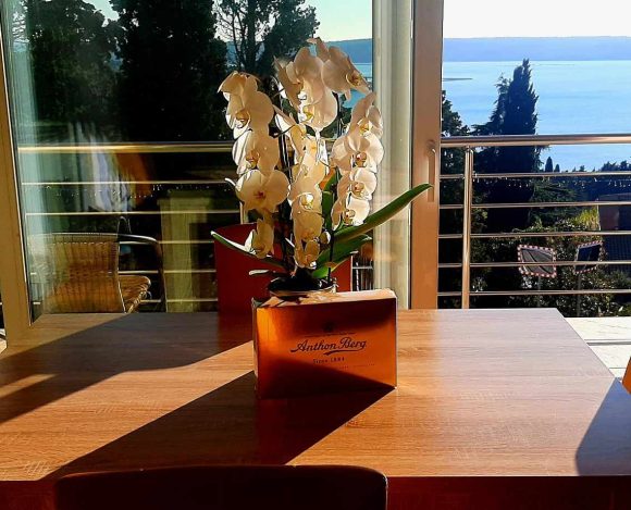 LJUBO DOMA, KDOR GA IMA