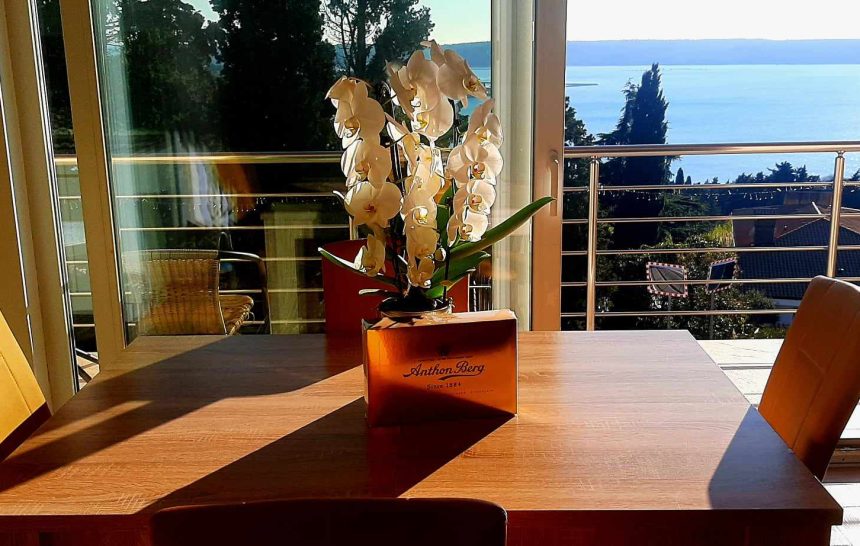 LJUBO DOMA, KDOR GA IMA